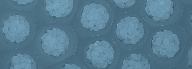 Coperion - Technologie