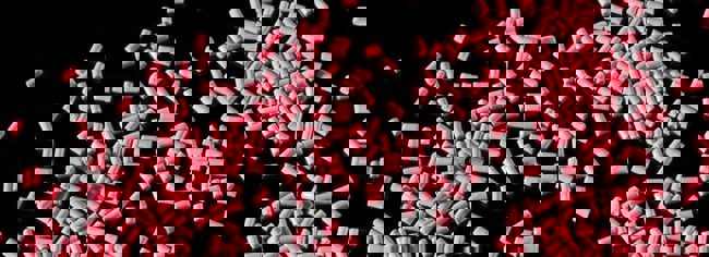 Coperion Plastics InFocus Newsletter