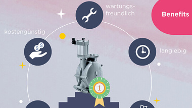 WZK Weiche Infografik Teaserbild